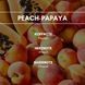 PEACH PAPAYA Аерозольний освіжувач повітря REIMAROM 300284 фото 4