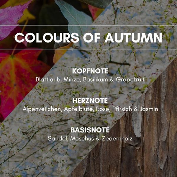 COLOURS OF AUTUMN - Аерозольний ароматичний освіжувач повітря REIMAROM DE300363 фото