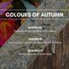 COLOURS OF AUTUMN - Аерозольний ароматичний освіжувач повітря REIMAROM DE300363 фото 4