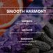 SMOOTH HARMONY Аерозольний ароматичний освіжувач повітря REIMAROM 300301 фото 3