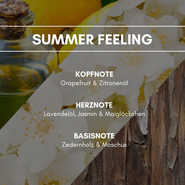 SUMMER FEELING Аерозольний ароматичний освіжувач повітря REIMAROM 300303 фото