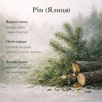 PIN (ПИХТА)  Ароматическая жидкость для профессионального аромадиффузора FR3182 фото
