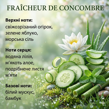 FRAICHEUR DE CONCOMBRE (ОГУРЕЧНАЯ СВЕЖЕСТЬ) - Ароматическая жидкость для профессиональной аромадиффузора. FRCON00007 фото
