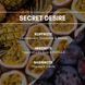 SECRET DESIRE Аэрозольний освіжувач повітря REIMAROM 300300 фото 4