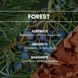 FOREST Аерозольний освіжувач повітря REIMAROM 300276 фото 3