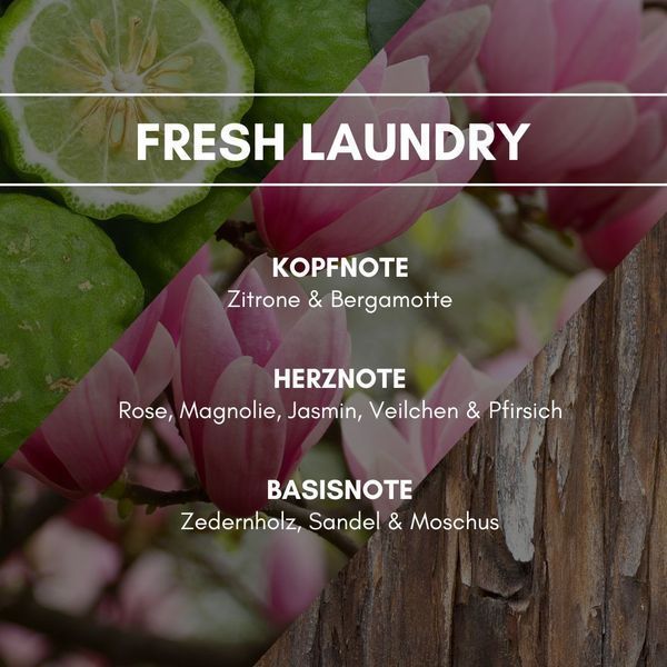FRESH LAUNDRY Аерозольний освіжувач повітря REIMAROM 300293 фото