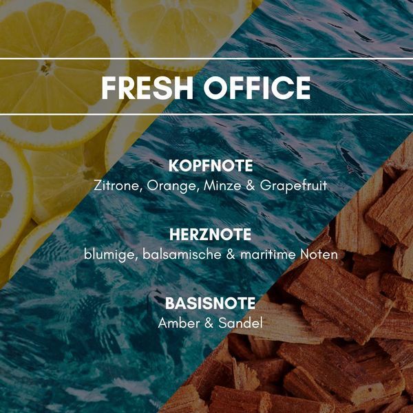 FRESH OFFICE Аэрозольный освежитель воздуха REIMAROM 300239 фото