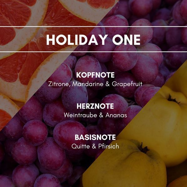 HOLIDAY ONE Аэрозольный освежитель воздуха REIMAROM 300270 фото