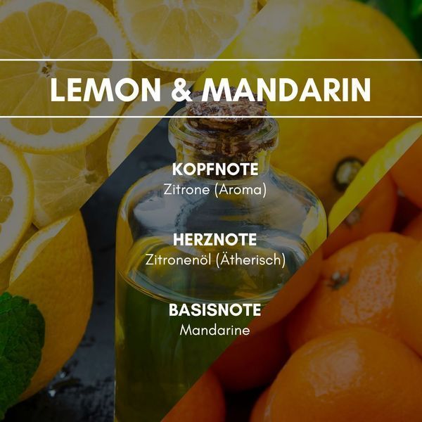 LEMON & MANDARIN Аэрозольный освежитель воздуха REIMAROM 300241 фото