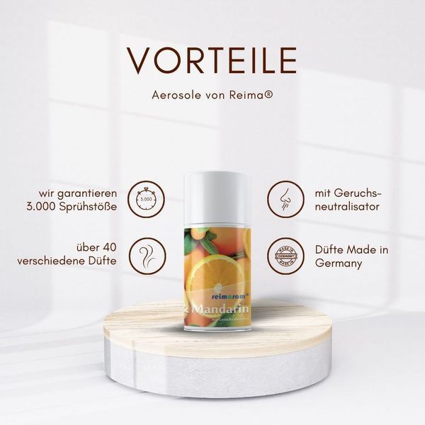 LEMON & MANDARIN Аэрозольный освежитель воздуха REIMAROM 300241 фото