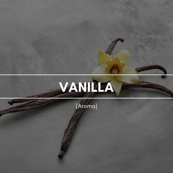 VANILLA Аэрозольний освіжувач повітря REIMAROM 300281 фото