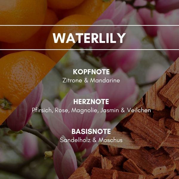 WATERLILY Аерозольний освіжувач повітря REIMAROM 300275 фото