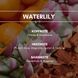 WATERLILY Аерозольний освіжувач повітря REIMAROM 300275 фото 5